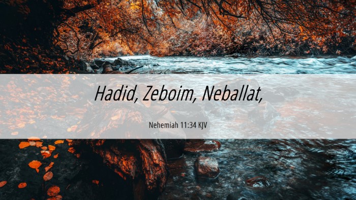 Picture 06 - Nehemiah 11:34 KJV Desktop Wallpaper - Hadid, Zeboim, - Desktop Bible Verse Wallpaper