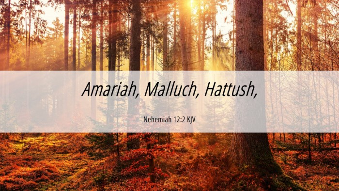 Picture 06 - Nehemiah 12:2 KJV Desktop Wallpaper - Amariah, Malluch, - Desktop Bible Verse Wallpaper