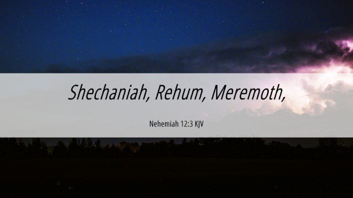 Picture 06 - Nehemiah 12:3 KJV Desktop Wallpaper - Shechaniah, Rehum, - Desktop Bible Verse Wallpaper