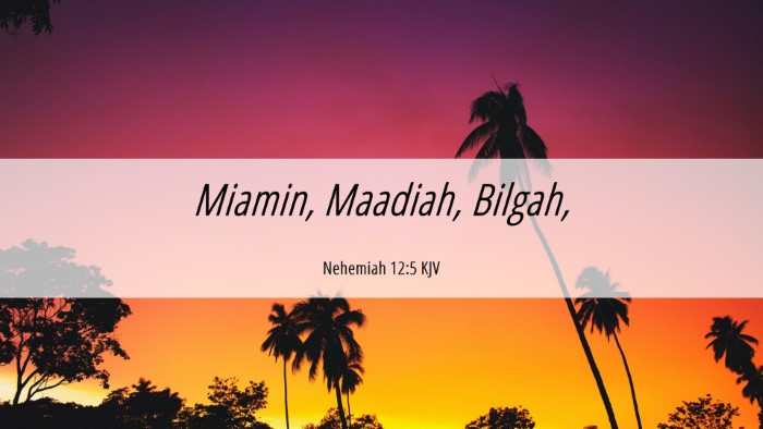 Picture 06 - Nehemiah 12:5 KJV Desktop Wallpaper - Miamin, Maadiah, - Desktop Bible Verse Wallpaper