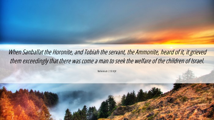 Picture 06 - Nehemiah 2:10 KJV Desktop Wallpaper - When Sanballat the Horonite, and Tobiah the - Desktop Bible Verse Wallpaper