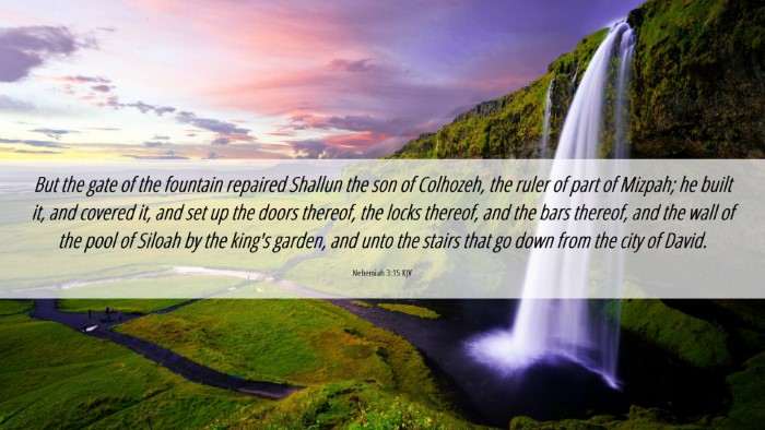 Picture 06 - Nehemiah 3:15 KJV Desktop Wallpaper - But the gate of the fountain repaired Shallun the - Desktop Bible Verse Wallpaper