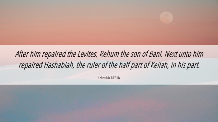 Picture 06 - Nehemiah 3:17 KJV Desktop Wallpaper - After him repaired the Levites, Rehum the son of - Desktop Bible Verse Wallpaper