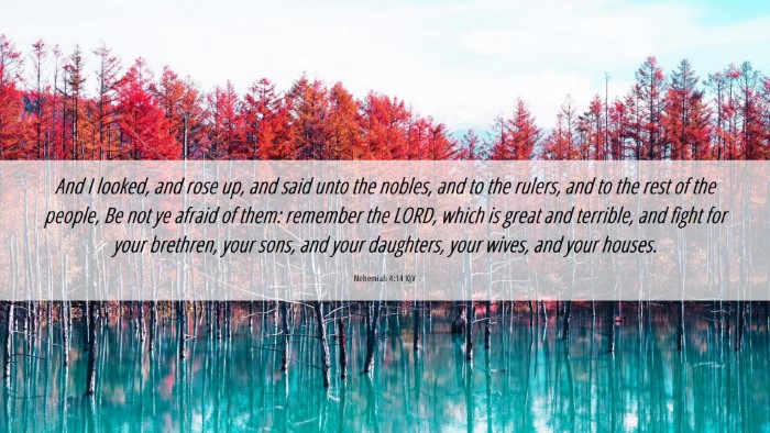 Picture 06 - Nehemiah 4:14 KJV Desktop Wallpaper - And I looked, and rose up, and said unto the - Desktop Bible Verse Wallpaper