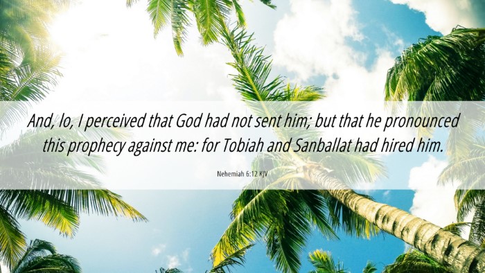 Picture 06 - Nehemiah 6:12 KJV Desktop Wallpaper - And, lo, I perceived that God had not sent him; - Desktop Bible Verse Wallpaper