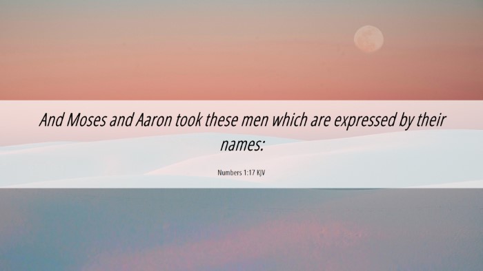 Picture 06 - Numbers 1:17 KJV Desktop Wallpaper - And Moses and Aaron took these men which are - Desktop Bible Verse Wallpaper