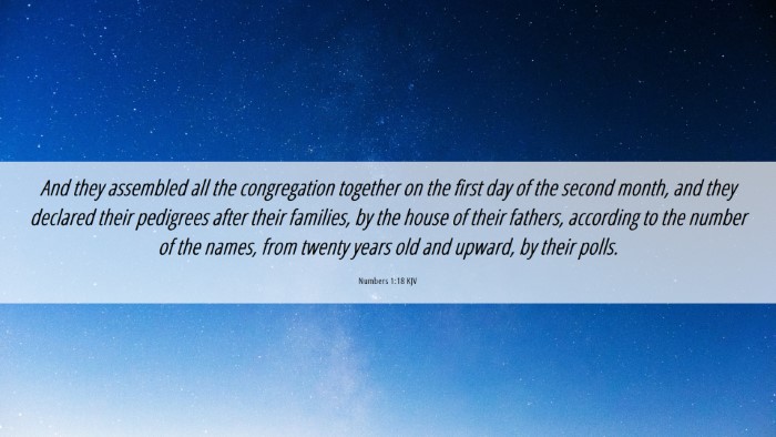 Picture 06 - Numbers 1:18 KJV Desktop Wallpaper - And they assembled all the congregation together - Desktop Bible Verse Wallpaper
