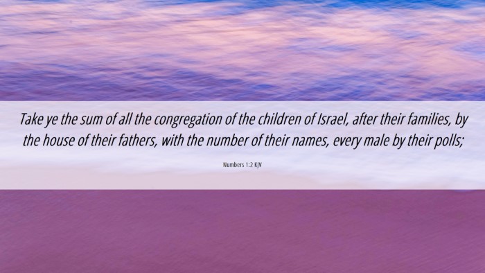 Picture 06 - Numbers 1:2 KJV Desktop Wallpaper - Take ye the sum of all the congregation of the - Desktop Bible Verse Wallpaper
