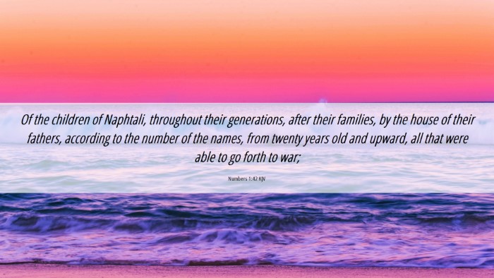 Picture 06 - Numbers 1:42 KJV Desktop Wallpaper - Of the children of Naphtali, throughout their - Desktop Bible Verse Wallpaper