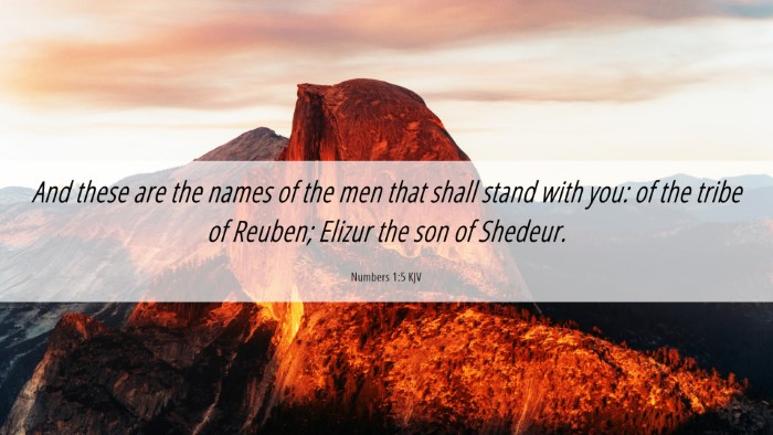 Picture 06 - Numbers 1:5 KJV Desktop Wallpaper - And these are the names of the men that shall - Desktop Bible Verse Wallpaper