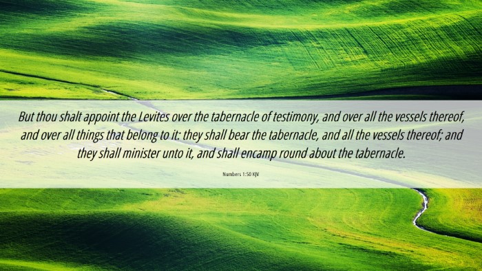 Picture 06 - Numbers 1:50 KJV Desktop Wallpaper - But thou shalt appoint the Levites over the - Desktop Bible Verse Wallpaper