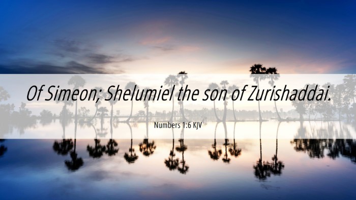 Picture 06 - Numbers 1:6 KJV Desktop Wallpaper - Of Simeon; Shelumiel the son of - Desktop Bible Verse Wallpaper