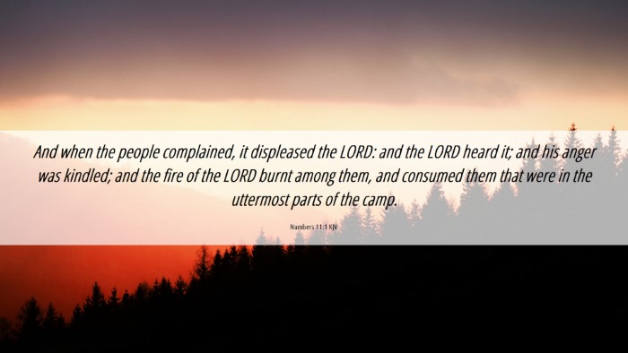 Picture 06 - Numbers 11:1 KJV Desktop Wallpaper - And when the people complained, it displeased the - Desktop Bible Verse Wallpaper
