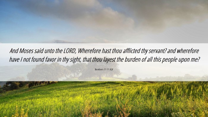 Picture 06 - Numbers 11:11 KJV Desktop Wallpaper - And Moses said unto the LORD, Wherefore hast thou - Desktop Bible Verse Wallpaper