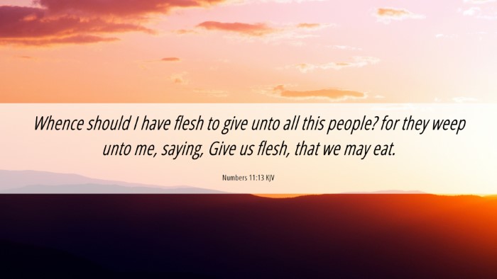 Picture 06 - Numbers 11:13 KJV Desktop Wallpaper - Whence should I have flesh to give unto all this - Desktop Bible Verse Wallpaper