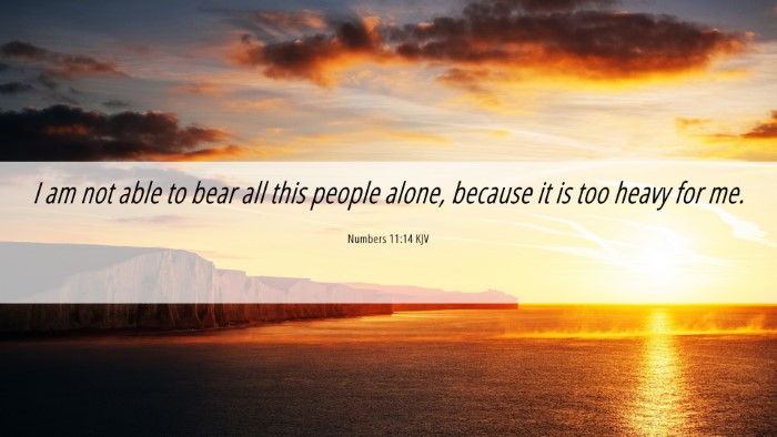 Picture 06 - Numbers 11:14 KJV Desktop Wallpaper - I am not able to bear all this people alone, - Desktop Bible Verse Wallpaper