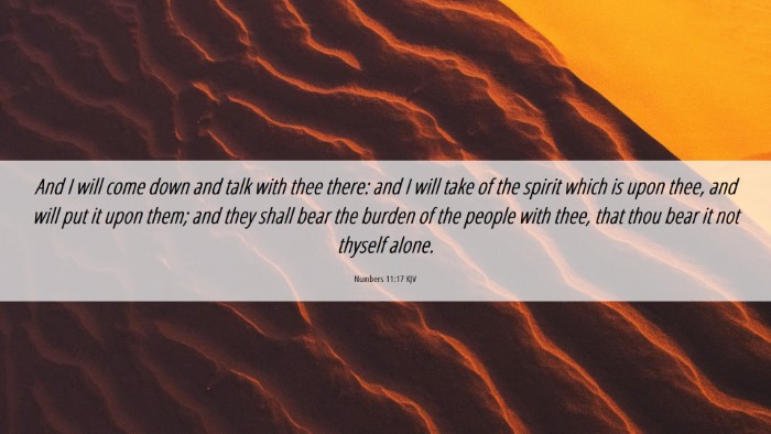 Picture 06 - Numbers 11:17 KJV Desktop Wallpaper - And I will come down and talk with thee there: - Desktop Bible Verse Wallpaper