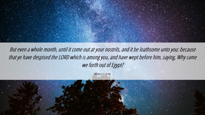 Picture 06 - Numbers 11:20 KJV Desktop Wallpaper - But even a whole month, until it come out at your - Desktop Bible Verse Wallpaper