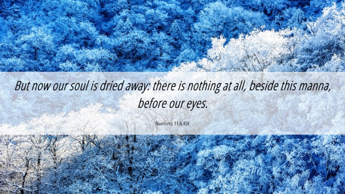 Picture 06 - Numbers 11:6 KJV Desktop Wallpaper - But now our soul is dried away: there is nothing - Desktop Bible Verse Wallpaper