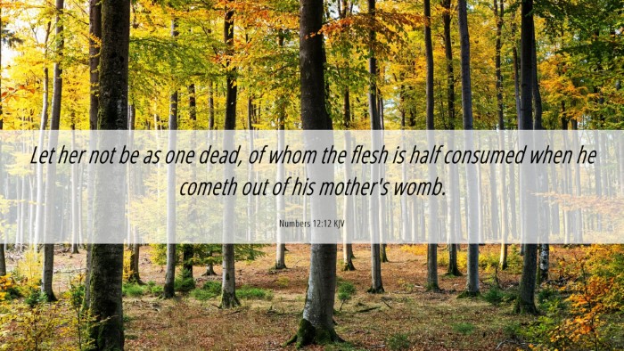 Picture 06 - Numbers 12:12 KJV Desktop Wallpaper - Let her not be as one dead, of whom the flesh is - Desktop Bible Verse Wallpaper