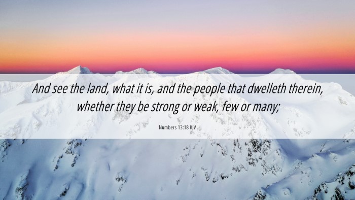 Picture 06 - Numbers 13:18 KJV Desktop Wallpaper - And see the land, what it is, and the people that - Desktop Bible Verse Wallpaper
