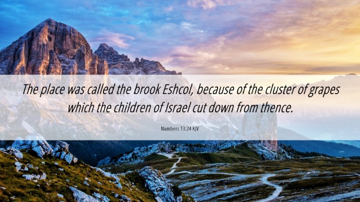 Picture 06 - Numbers 13:24 KJV Desktop Wallpaper - The place was called the brook Eshcol, because of - Desktop Bible Verse Wallpaper