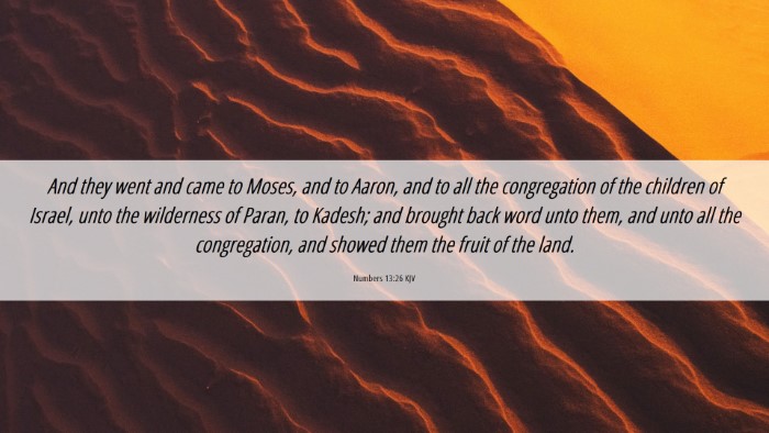Picture 06 - Numbers 13:26 KJV Desktop Wallpaper - And they went and came to Moses, and to Aaron, - Desktop Bible Verse Wallpaper