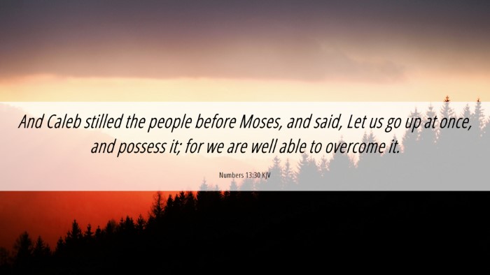 Picture 06 - Numbers 13:30 KJV Desktop Wallpaper - And Caleb stilled the people before Moses, and - Desktop Bible Verse Wallpaper