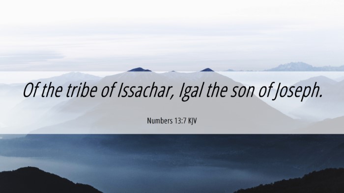 Picture 06 - Numbers 13:7 KJV Desktop Wallpaper - Of the tribe of Issachar, Igal the son of - Desktop Bible Verse Wallpaper