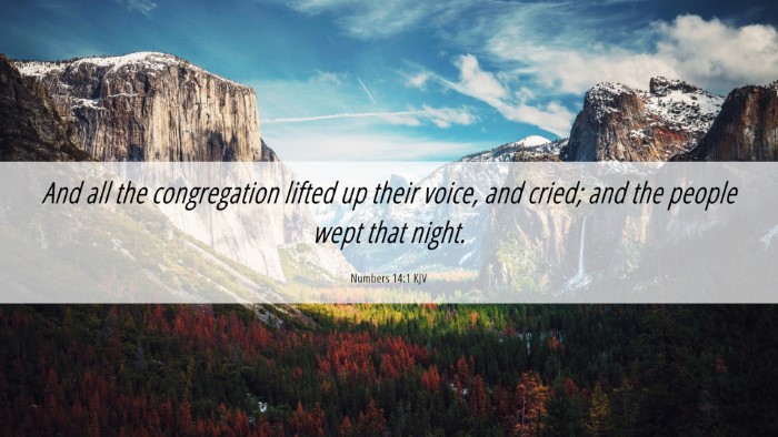 Picture 06 - Numbers 14:1 KJV Desktop Wallpaper - And all the congregation lifted up their voice, - Desktop Bible Verse Wallpaper