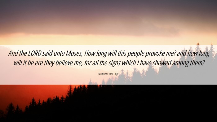 Picture 06 - Numbers 14:11 KJV Desktop Wallpaper - And the LORD said unto Moses, How long will this - Desktop Bible Verse Wallpaper