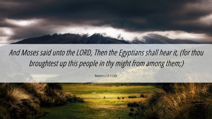 Picture 06 - Numbers 14:13 KJV Desktop Wallpaper - And Moses said unto the LORD, Then the Egyptians - Desktop Bible Verse Wallpaper