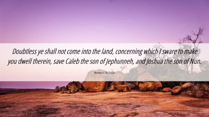 Picture 06 - Numbers 14:30 KJV Desktop Wallpaper - Doubtless ye shall not come into the land, - Desktop Bible Verse Wallpaper