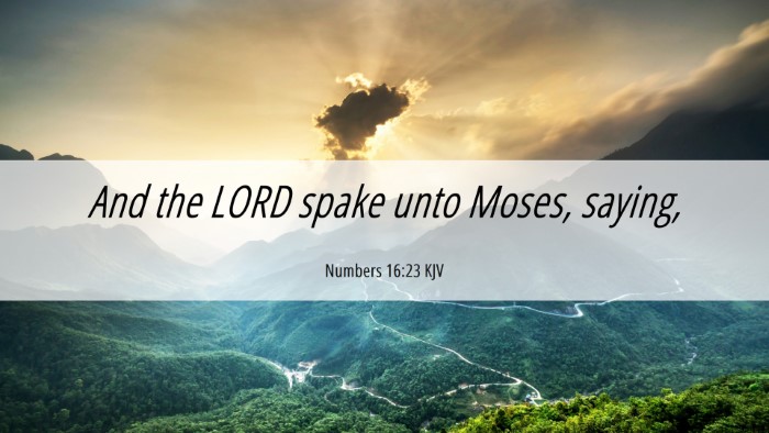 Picture 06 - Numbers 16:23 KJV Desktop Wallpaper - And the LORD spake unto Moses, - Desktop Bible Verse Wallpaper