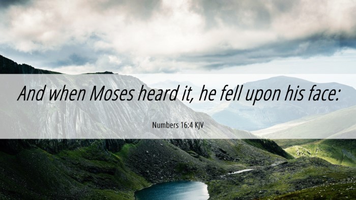 Picture 06 - Numbers 16:4 KJV Desktop Wallpaper - And when Moses heard it, he fell upon his - Desktop Bible Verse Wallpaper