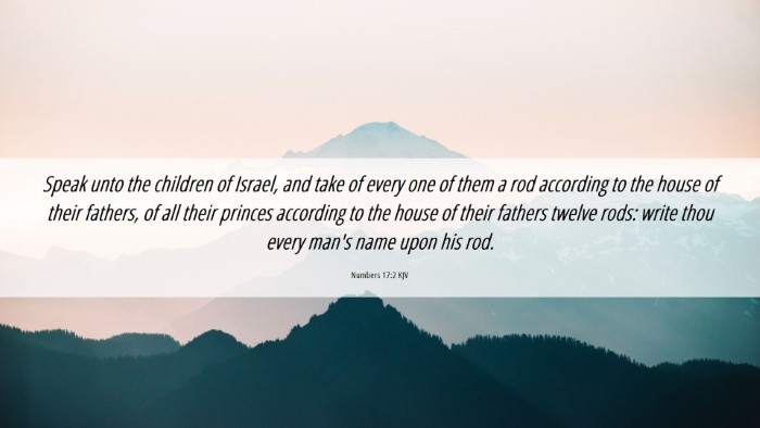 Picture 06 - Numbers 17:2 KJV Desktop Wallpaper - Speak unto the children of Israel, and take of - Desktop Bible Verse Wallpaper