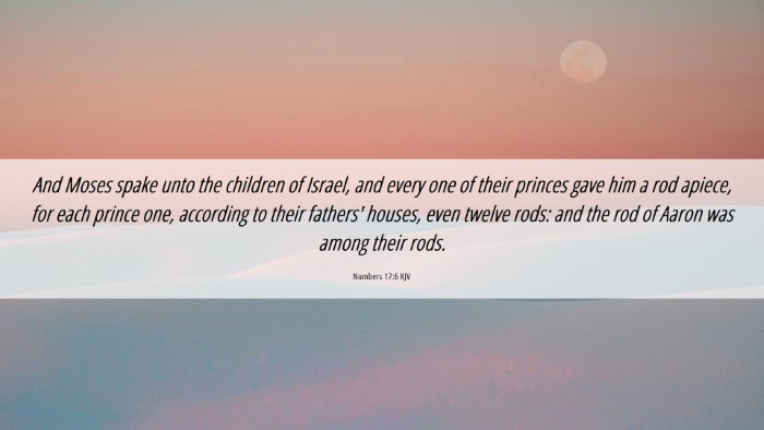 Picture 06 - Numbers 17:6 KJV Desktop Wallpaper - And Moses spake unto the children of Israel, and - Desktop Bible Verse Wallpaper
