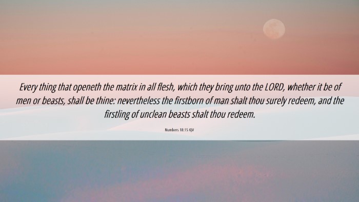 Picture 06 - Numbers 18:15 KJV Desktop Wallpaper - Every thing that openeth the matrix in all flesh, - Desktop Bible Verse Wallpaper