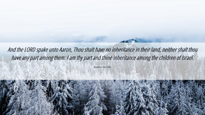Picture 06 - Numbers 18:20 KJV Desktop Wallpaper - And the LORD spake unto Aaron, Thou shalt have no - Desktop Bible Verse Wallpaper