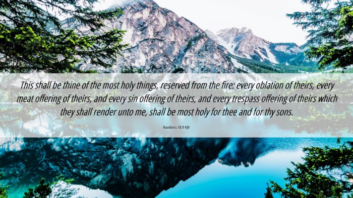 Picture 06 - Numbers 18:9 KJV Desktop Wallpaper - This shall be thine of the most holy things, - Desktop Bible Verse Wallpaper