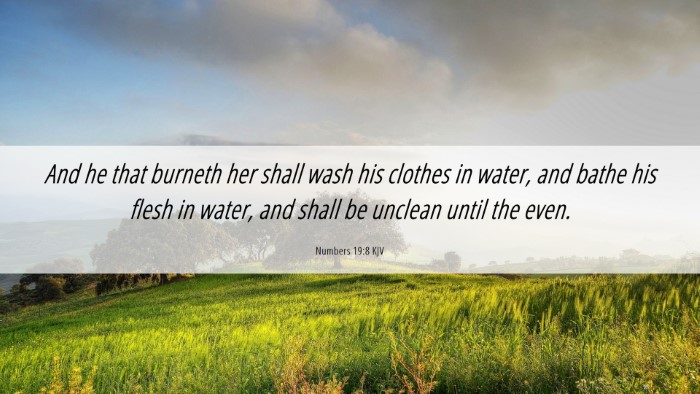 Picture 06 - Numbers 19:8 KJV Desktop Wallpaper - And he that burneth her shall wash his clothes in - Desktop Bible Verse Wallpaper