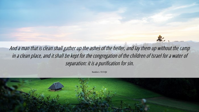 Picture 06 - Numbers 19:9 KJV Desktop Wallpaper - And a man that is clean shall gather up the ashes - Desktop Bible Verse Wallpaper