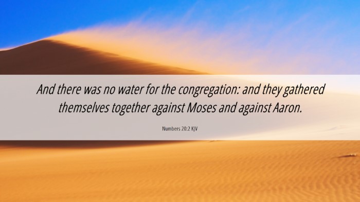 Picture 06 - Numbers 20:2 KJV Desktop Wallpaper - And there was no water for the congregation: and - Desktop Bible Verse Wallpaper