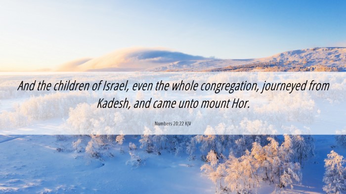 Picture 06 - Numbers 20:22 KJV Desktop Wallpaper - And the children of Israel, even the whole - Desktop Bible Verse Wallpaper