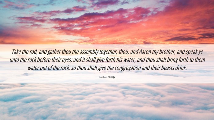 Picture 06 - Numbers 20:8 KJV Desktop Wallpaper - Take the rod, and gather thou the assembly - Desktop Bible Verse Wallpaper