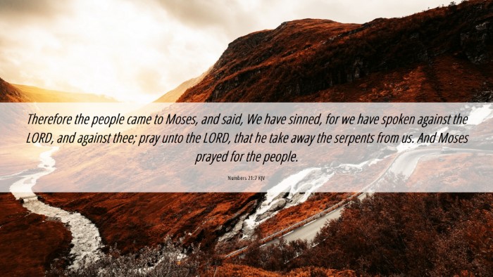 Picture 06 - Numbers 21:7 KJV Desktop Wallpaper - Therefore the people came to Moses, and said, We - Desktop Bible Verse Wallpaper