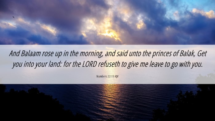 Picture 06 - Numbers 22:13 KJV Desktop Wallpaper - And Balaam rose up in the morning, and said unto - Desktop Bible Verse Wallpaper