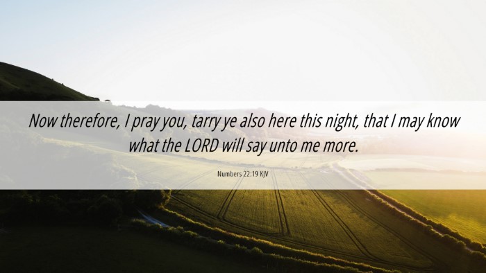 Picture 06 - Numbers 22:19 KJV Desktop Wallpaper - Now therefore, I pray you, tarry ye also here - Desktop Bible Verse Wallpaper