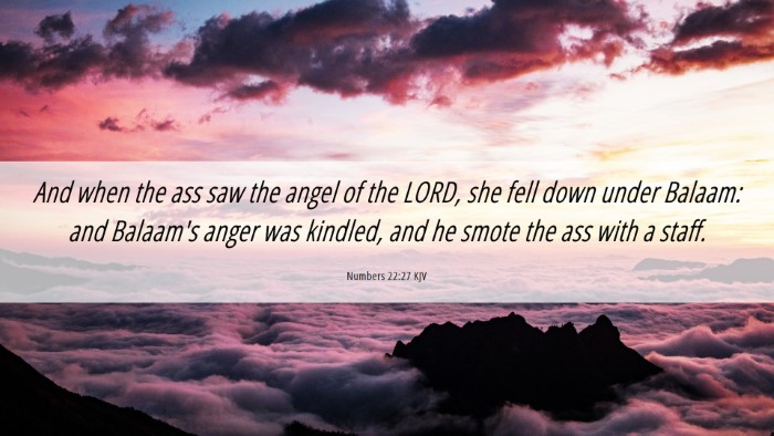 Picture 06 - Numbers 22:27 KJV Desktop Wallpaper - And when the ass saw the angel of the LORD, she - Desktop Bible Verse Wallpaper