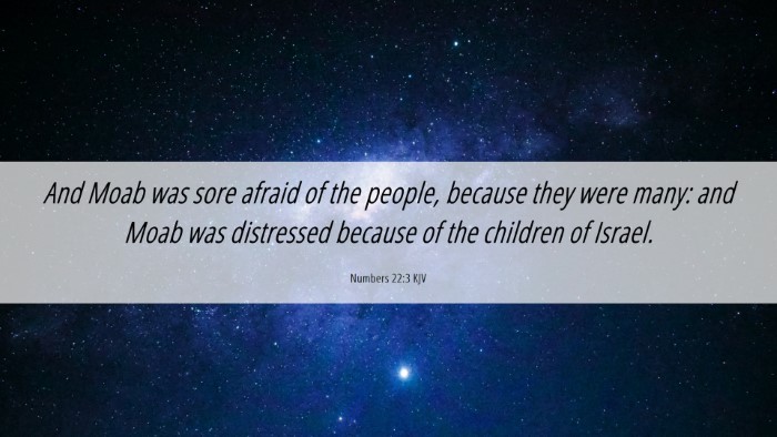 Picture 06 - Numbers 22:3 KJV Desktop Wallpaper - And Moab was sore afraid of the people, because - Desktop Bible Verse Wallpaper